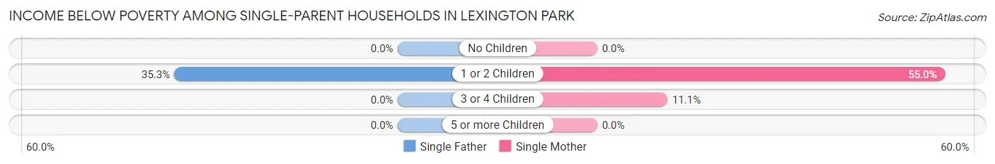 Income Below Poverty Among Single-Parent Households in Lexington Park