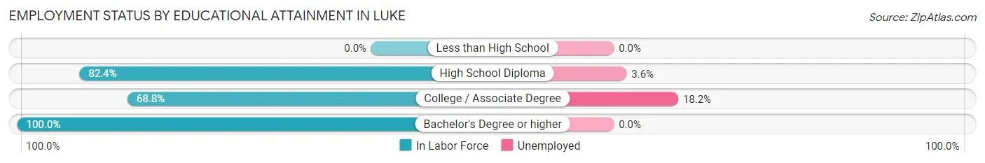 Employment Status by Educational Attainment in Luke