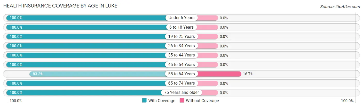Health Insurance Coverage by Age in Luke