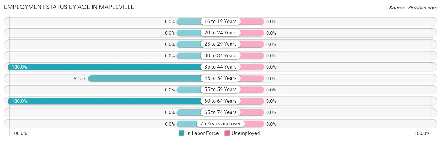 Employment Status by Age in Mapleville