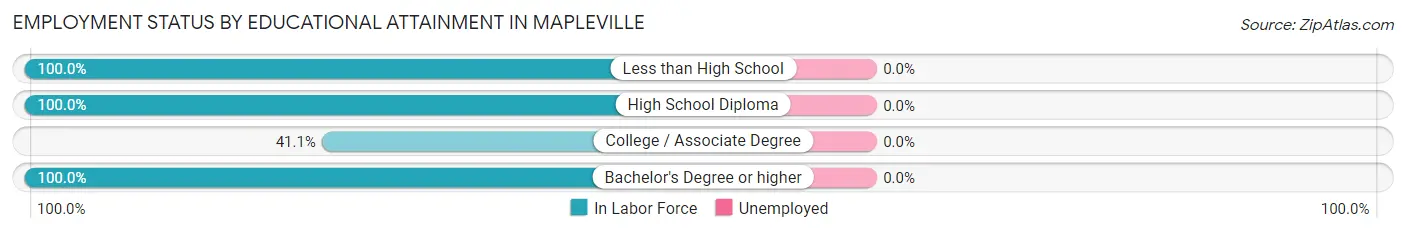 Employment Status by Educational Attainment in Mapleville