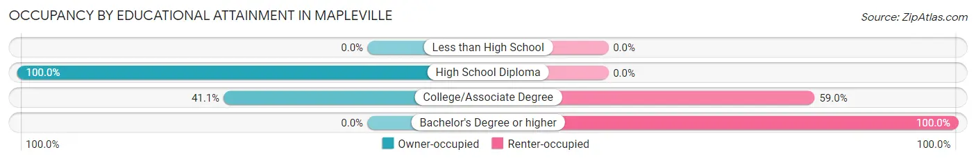 Occupancy by Educational Attainment in Mapleville