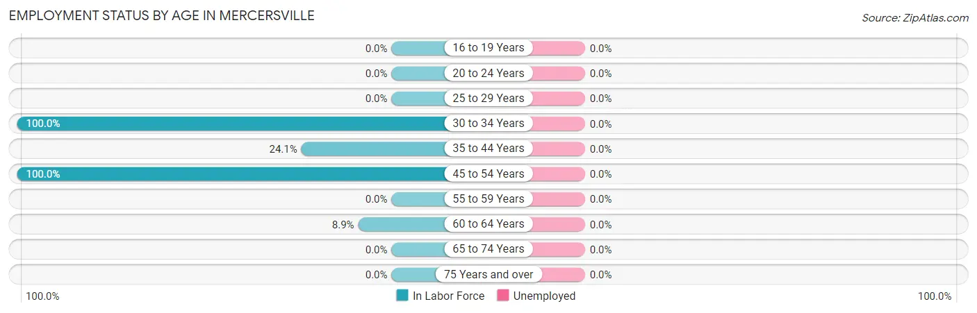 Employment Status by Age in Mercersville