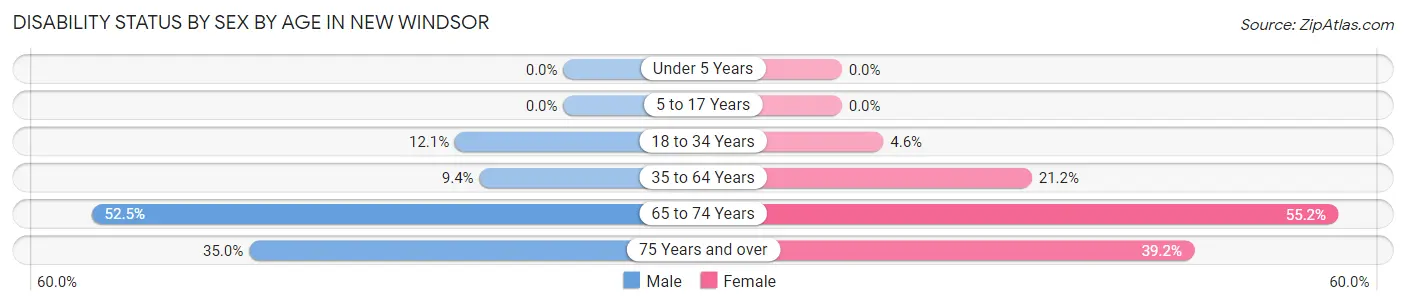 Disability Status by Sex by Age in New Windsor