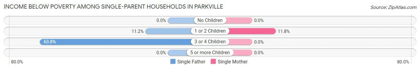 Income Below Poverty Among Single-Parent Households in Parkville