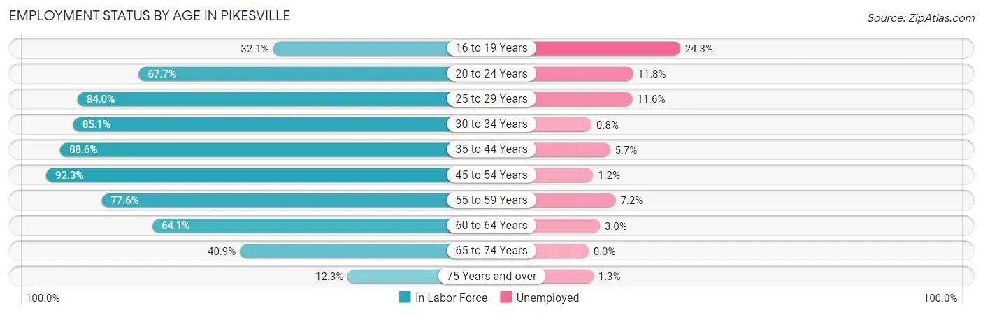 Employment Status by Age in Pikesville
