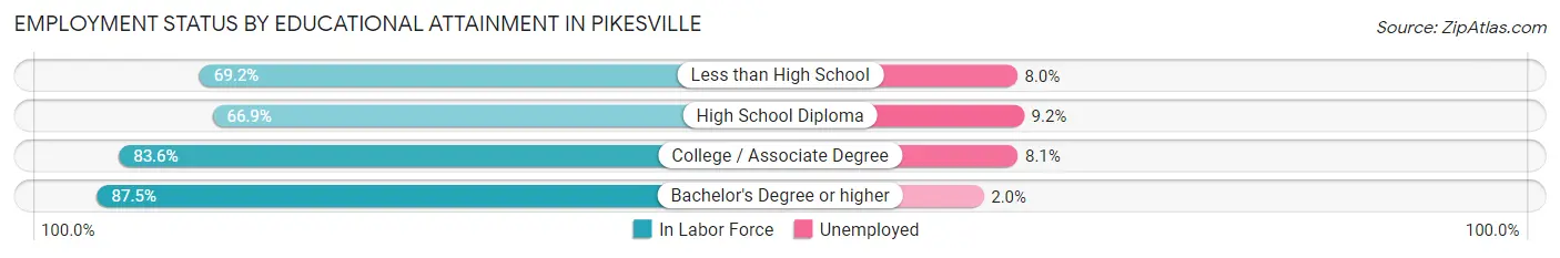 Employment Status by Educational Attainment in Pikesville
