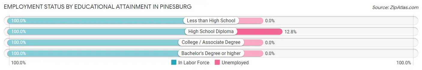 Employment Status by Educational Attainment in Pinesburg
