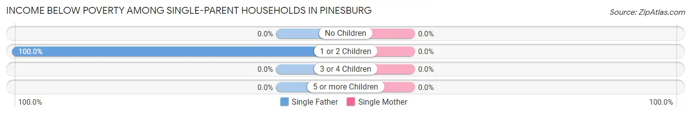 Income Below Poverty Among Single-Parent Households in Pinesburg