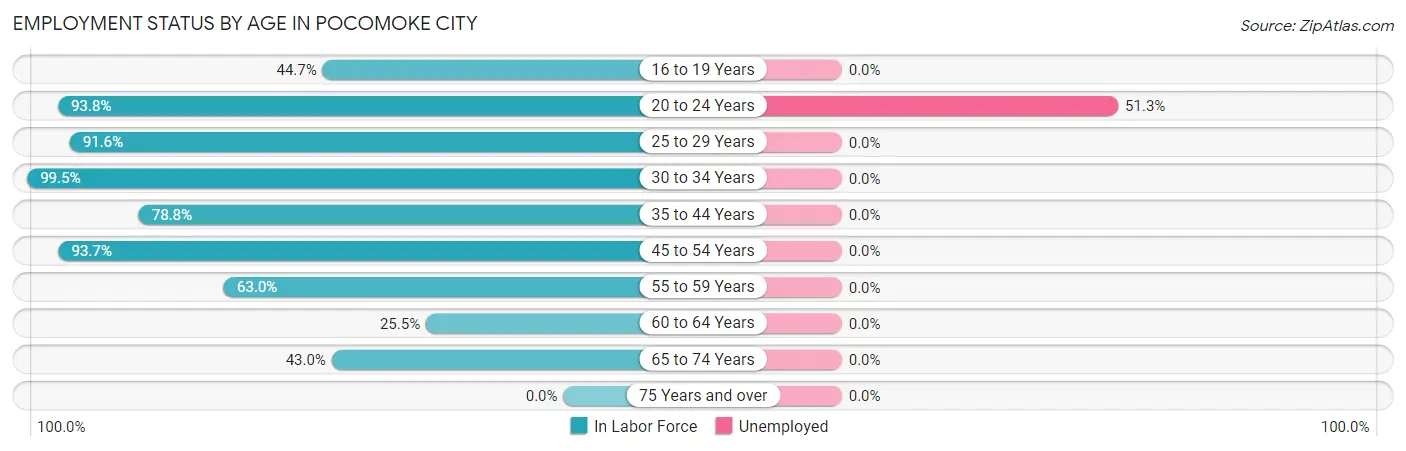 Employment Status by Age in Pocomoke City