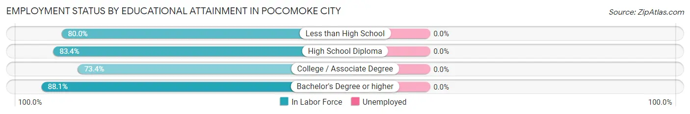 Employment Status by Educational Attainment in Pocomoke City