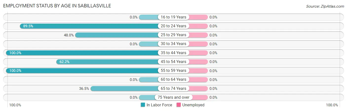 Employment Status by Age in Sabillasville