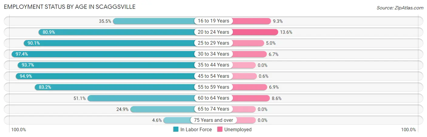 Employment Status by Age in Scaggsville