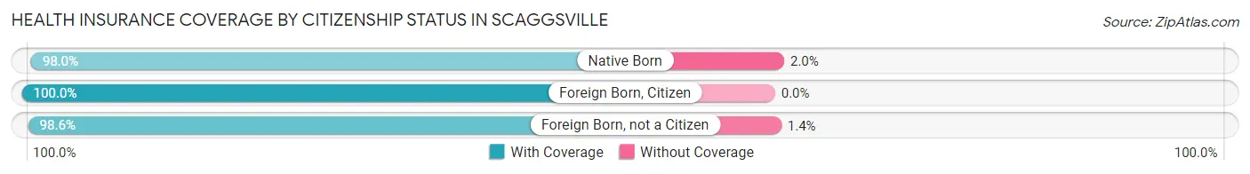 Health Insurance Coverage by Citizenship Status in Scaggsville