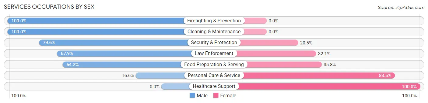 Services Occupations by Sex in Stevensville