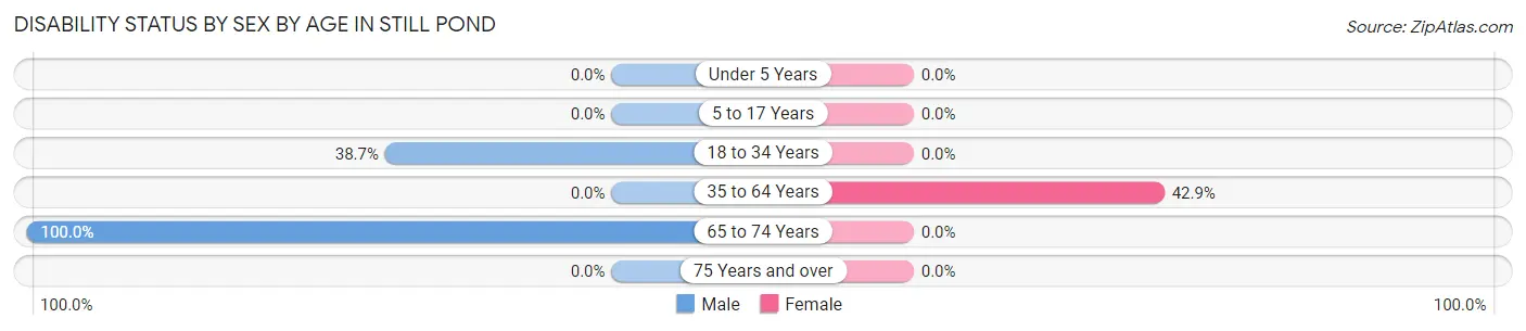 Disability Status by Sex by Age in Still Pond