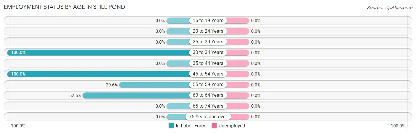 Employment Status by Age in Still Pond