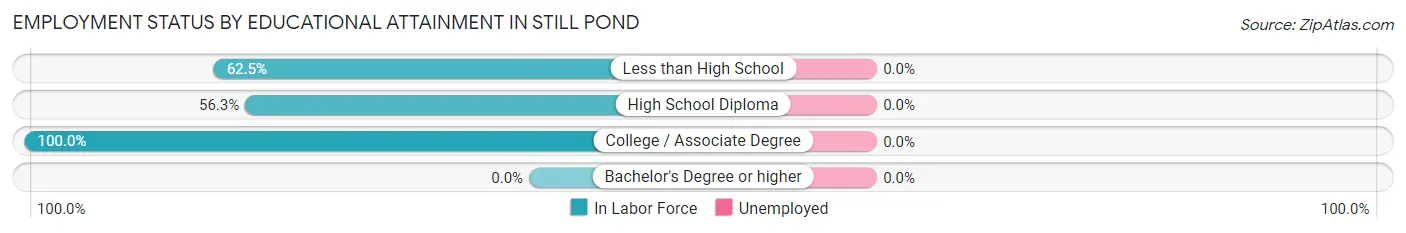 Employment Status by Educational Attainment in Still Pond