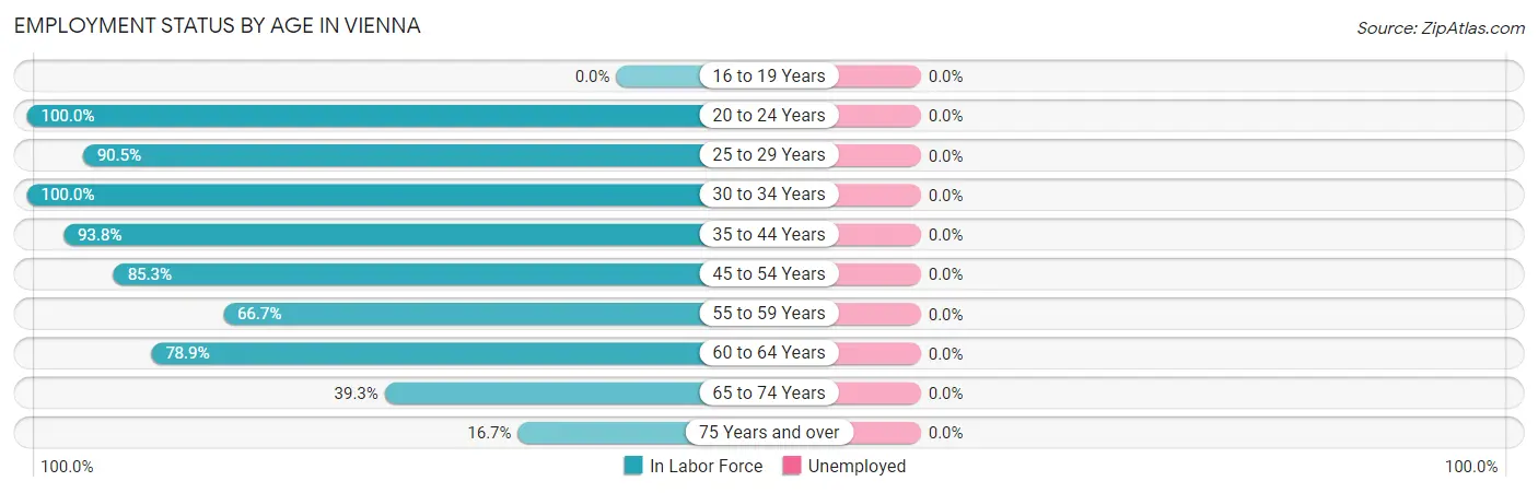 Employment Status by Age in Vienna