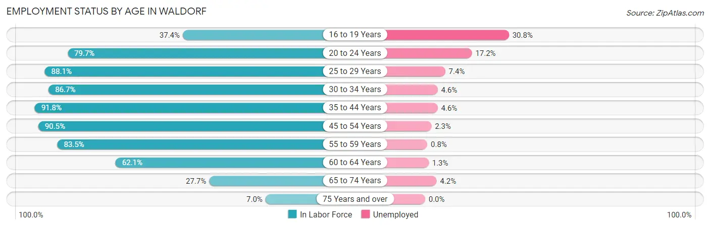 Employment Status by Age in Waldorf