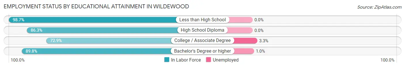 Employment Status by Educational Attainment in Wildewood