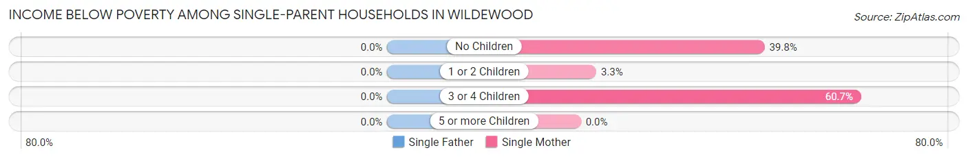 Income Below Poverty Among Single-Parent Households in Wildewood