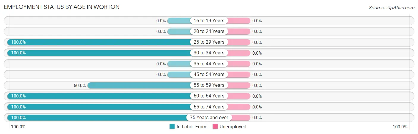 Employment Status by Age in Worton