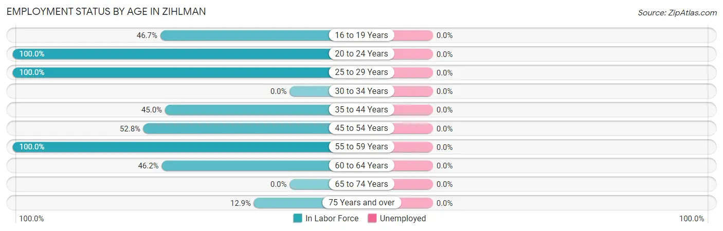 Employment Status by Age in Zihlman
