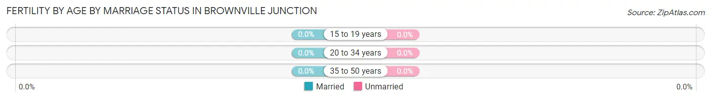 Female Fertility by Age by Marriage Status in Brownville Junction
