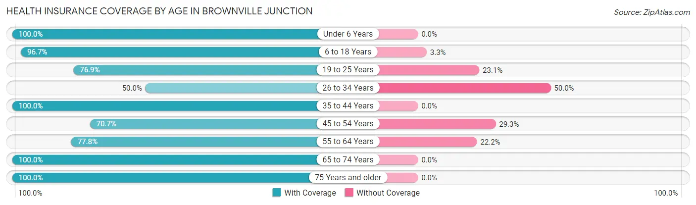 Health Insurance Coverage by Age in Brownville Junction