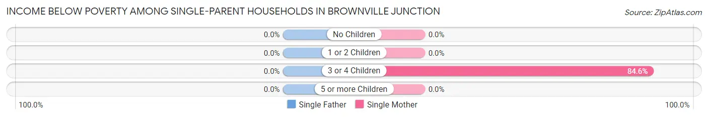 Income Below Poverty Among Single-Parent Households in Brownville Junction