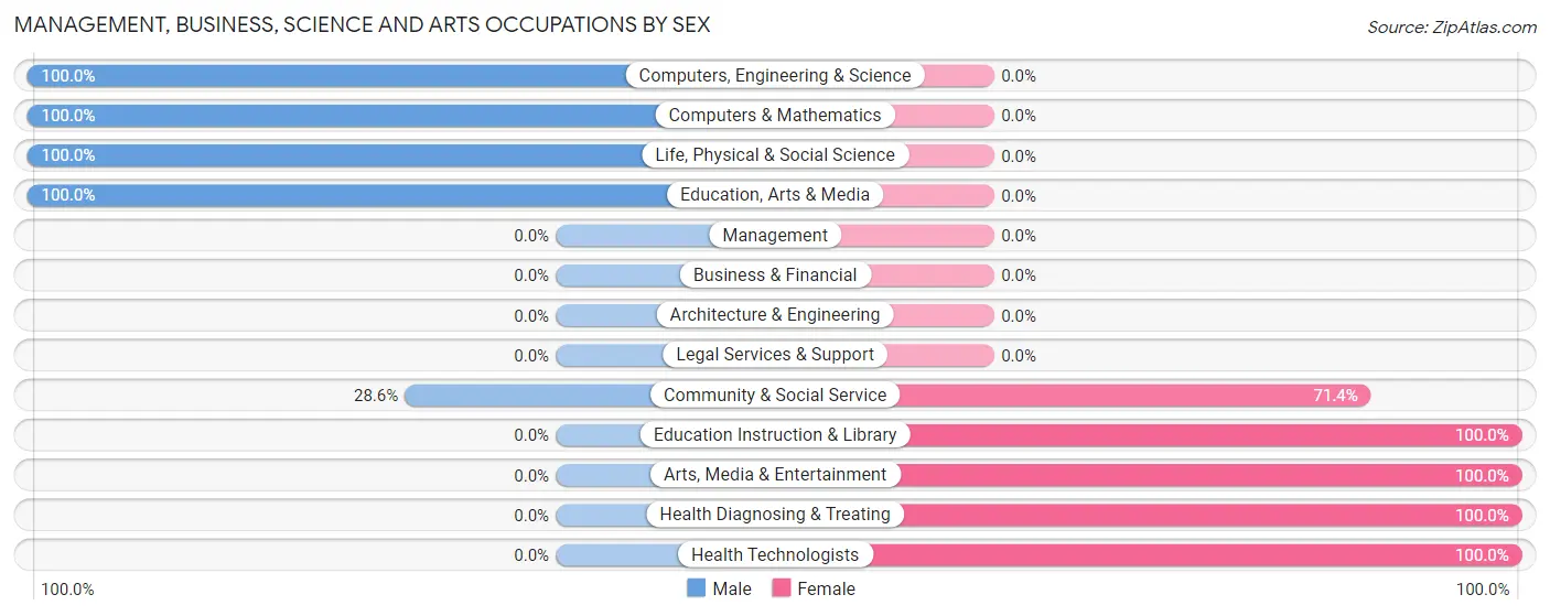 Management, Business, Science and Arts Occupations by Sex in Brownville Junction
