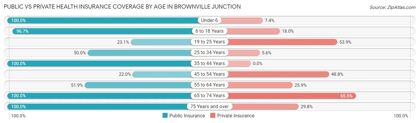 Public vs Private Health Insurance Coverage by Age in Brownville Junction