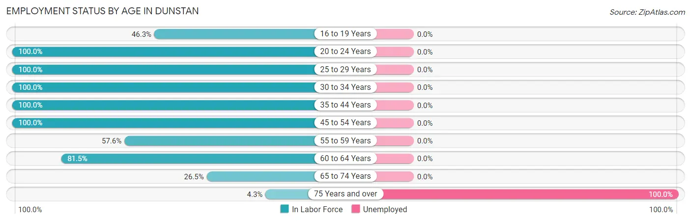 Employment Status by Age in Dunstan