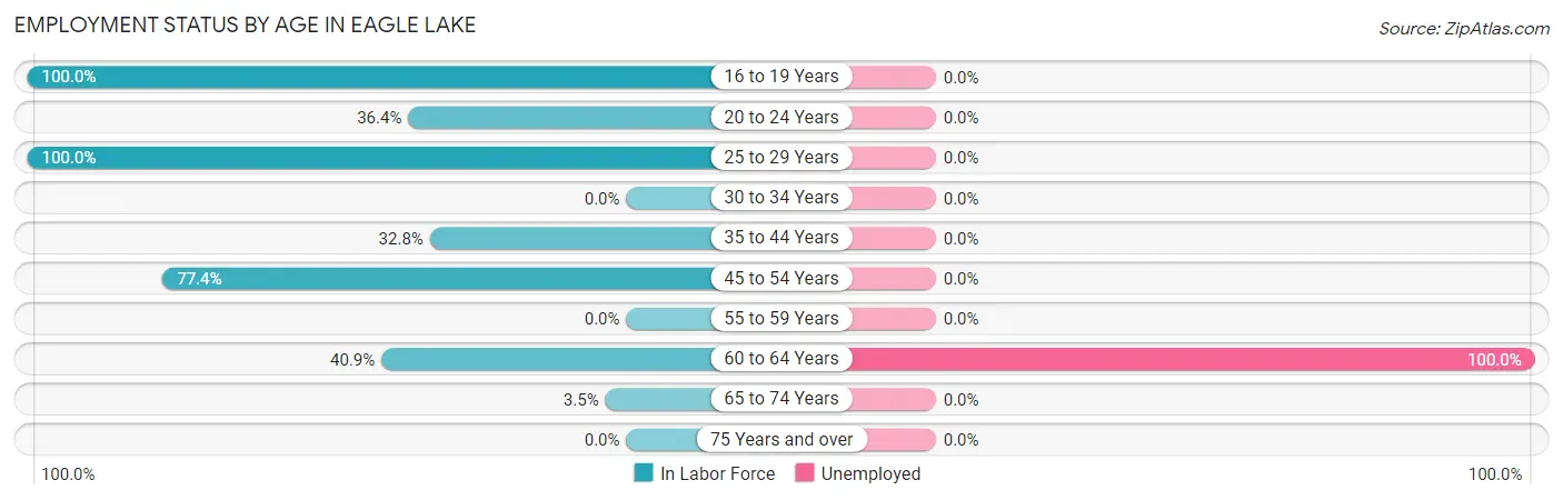 Employment Status by Age in Eagle Lake