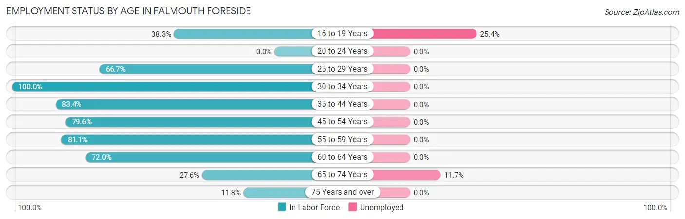 Employment Status by Age in Falmouth Foreside