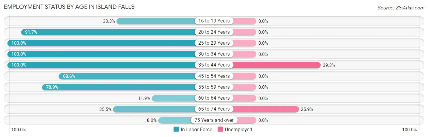 Employment Status by Age in Island Falls