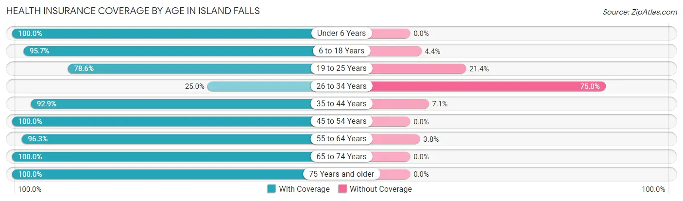 Health Insurance Coverage by Age in Island Falls