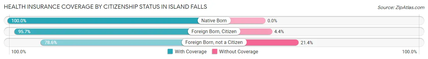 Health Insurance Coverage by Citizenship Status in Island Falls