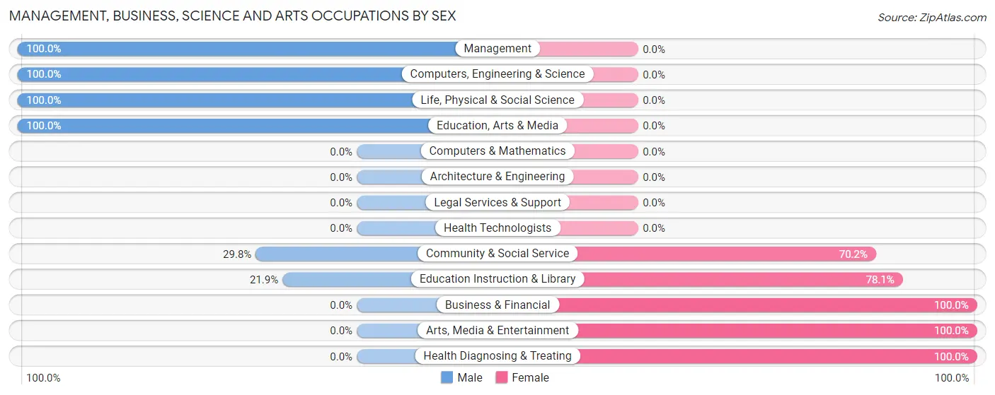 Management, Business, Science and Arts Occupations by Sex in Kezar Falls