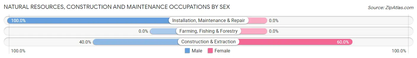 Natural Resources, Construction and Maintenance Occupations by Sex in Kezar Falls
