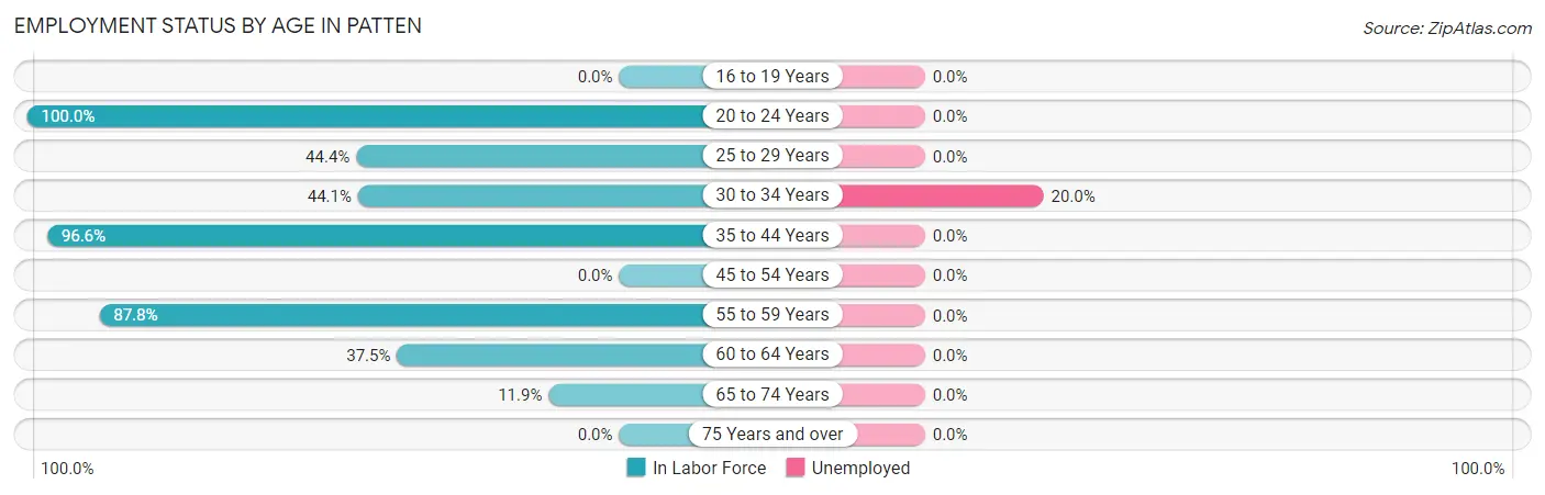 Employment Status by Age in Patten