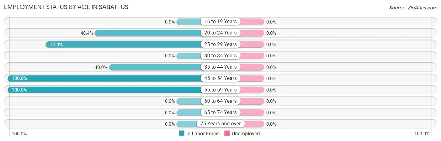 Employment Status by Age in Sabattus