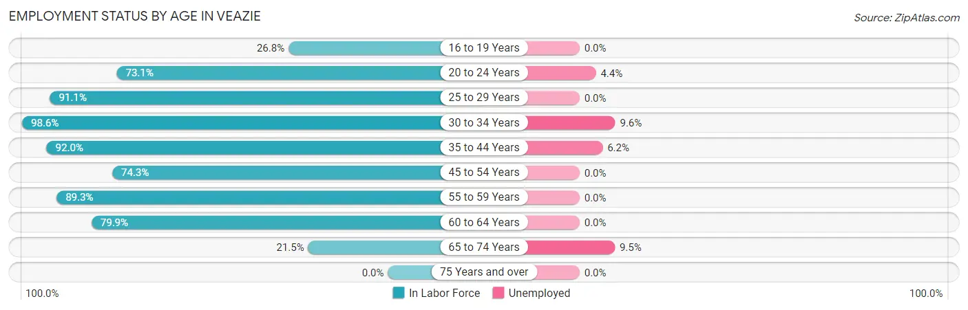 Employment Status by Age in Veazie