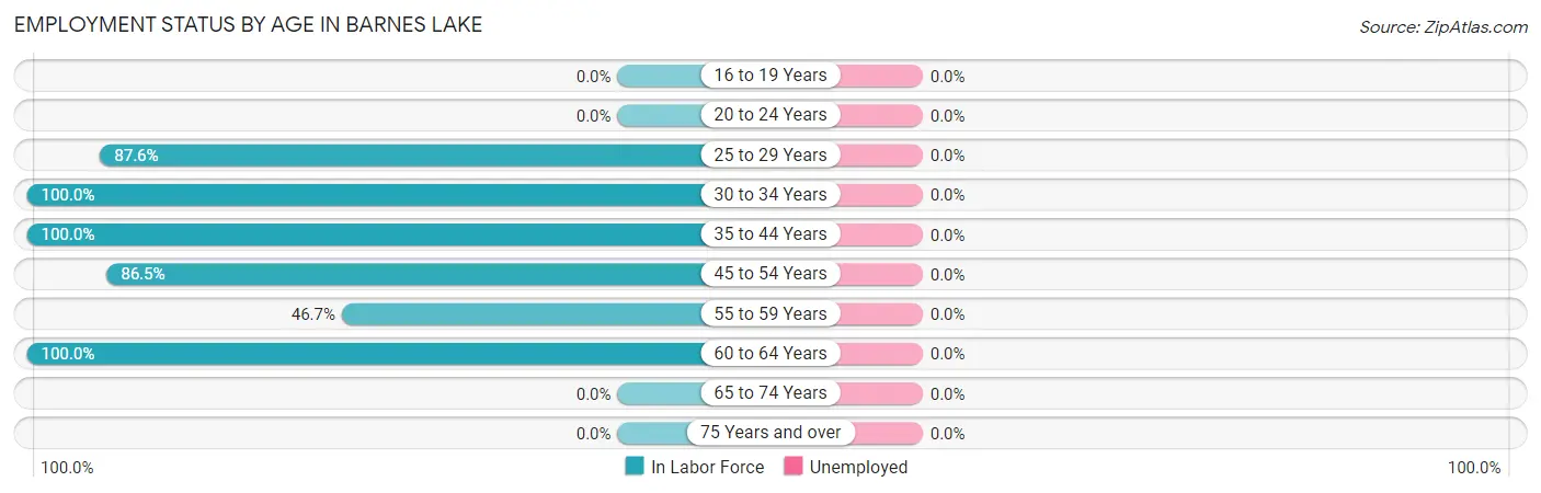 Employment Status by Age in Barnes Lake