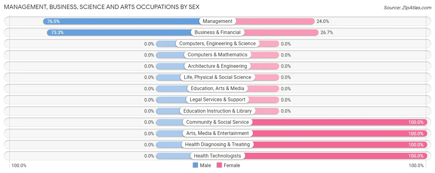 Management, Business, Science and Arts Occupations by Sex in Bay Port