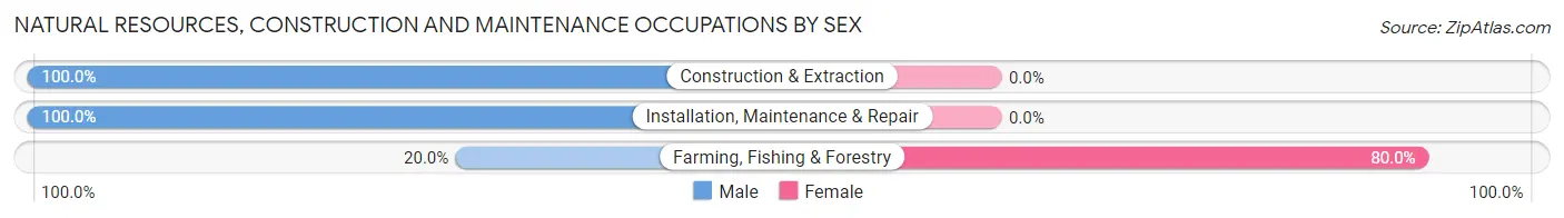 Natural Resources, Construction and Maintenance Occupations by Sex in Bay Port