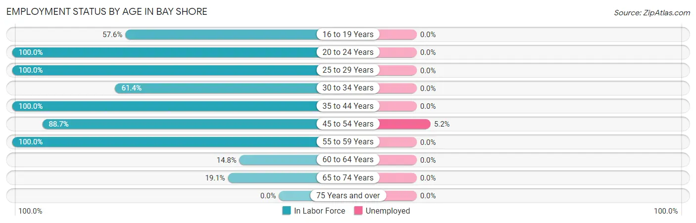 Employment Status by Age in Bay Shore