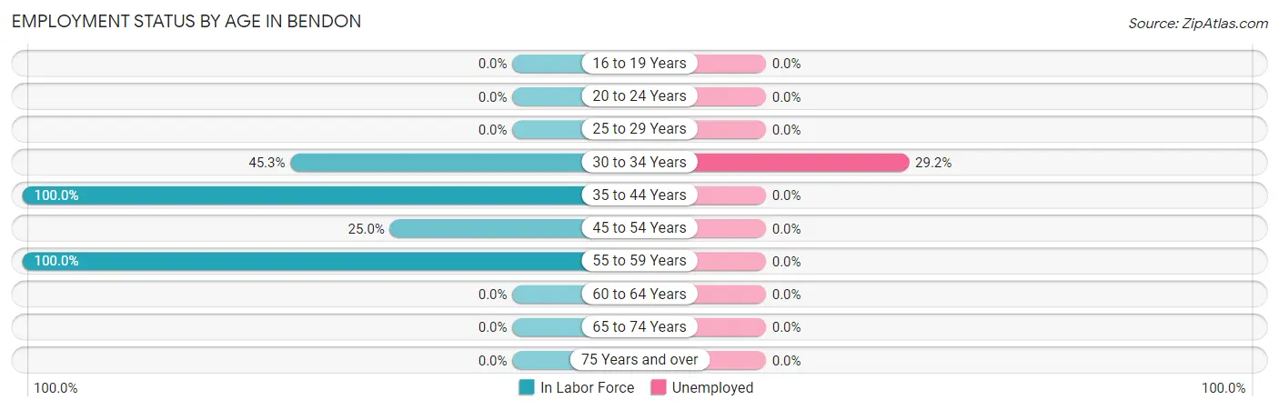 Employment Status by Age in Bendon
