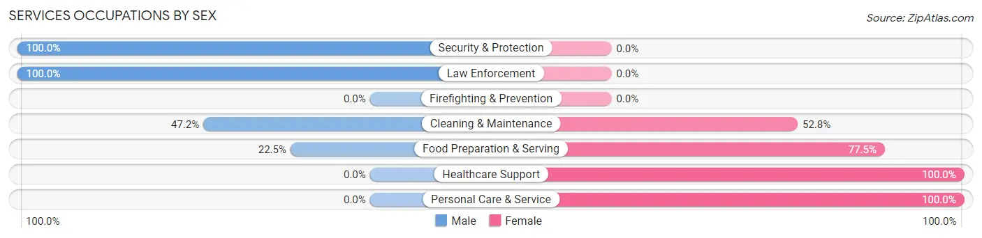 Services Occupations by Sex in Bessemer